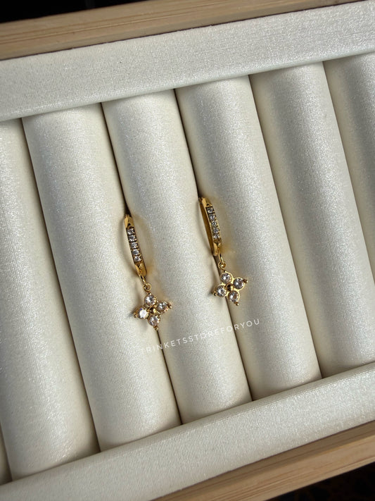 Zoya Hoops