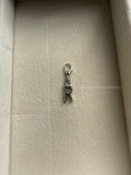 R Add on Charm