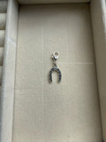 Good Luck Add on Charm